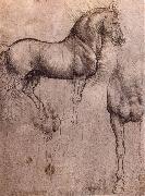 LEONARDO da Vinci Studies of horses oil